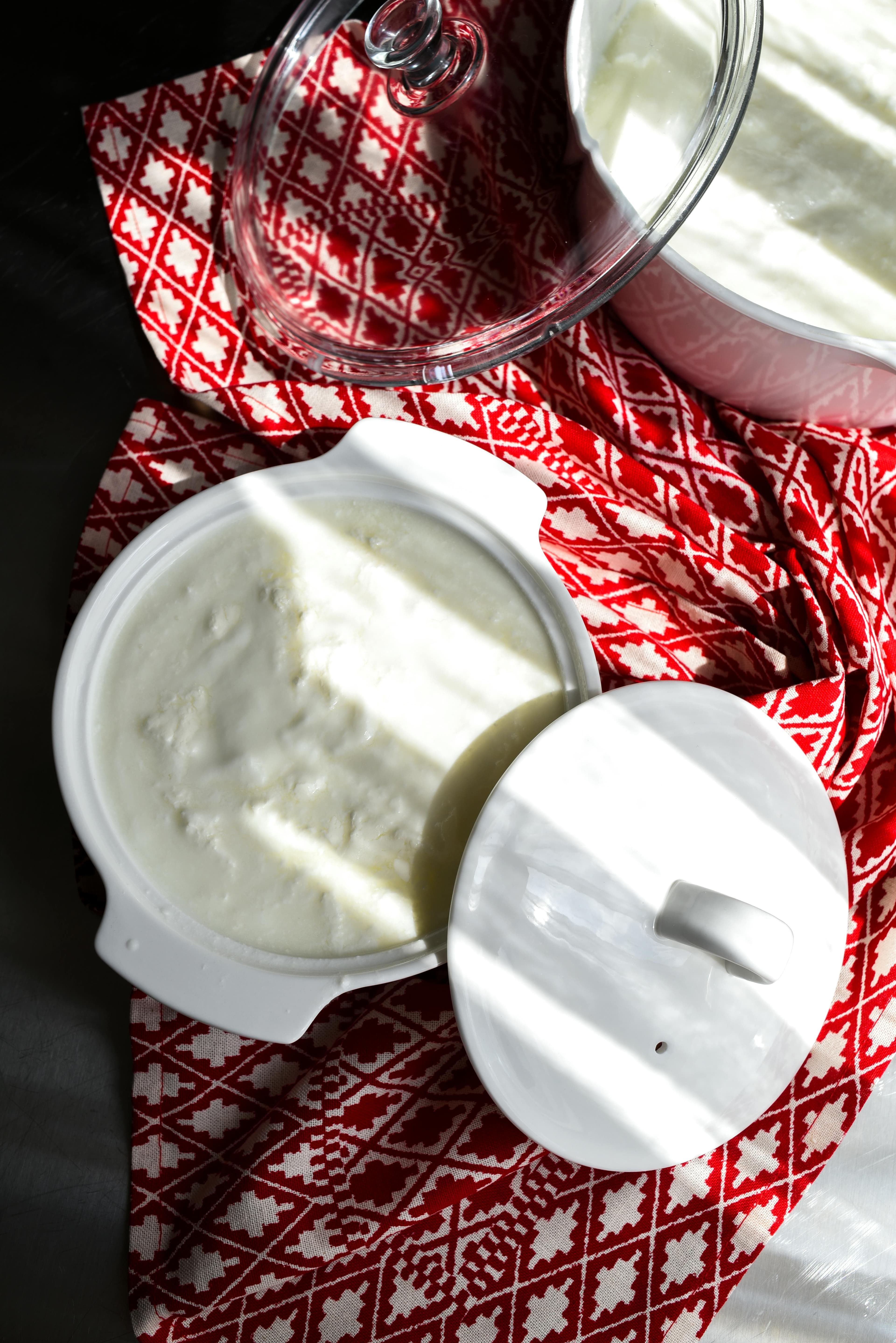 Vegan yogurt used in dairy-free Indian cooking