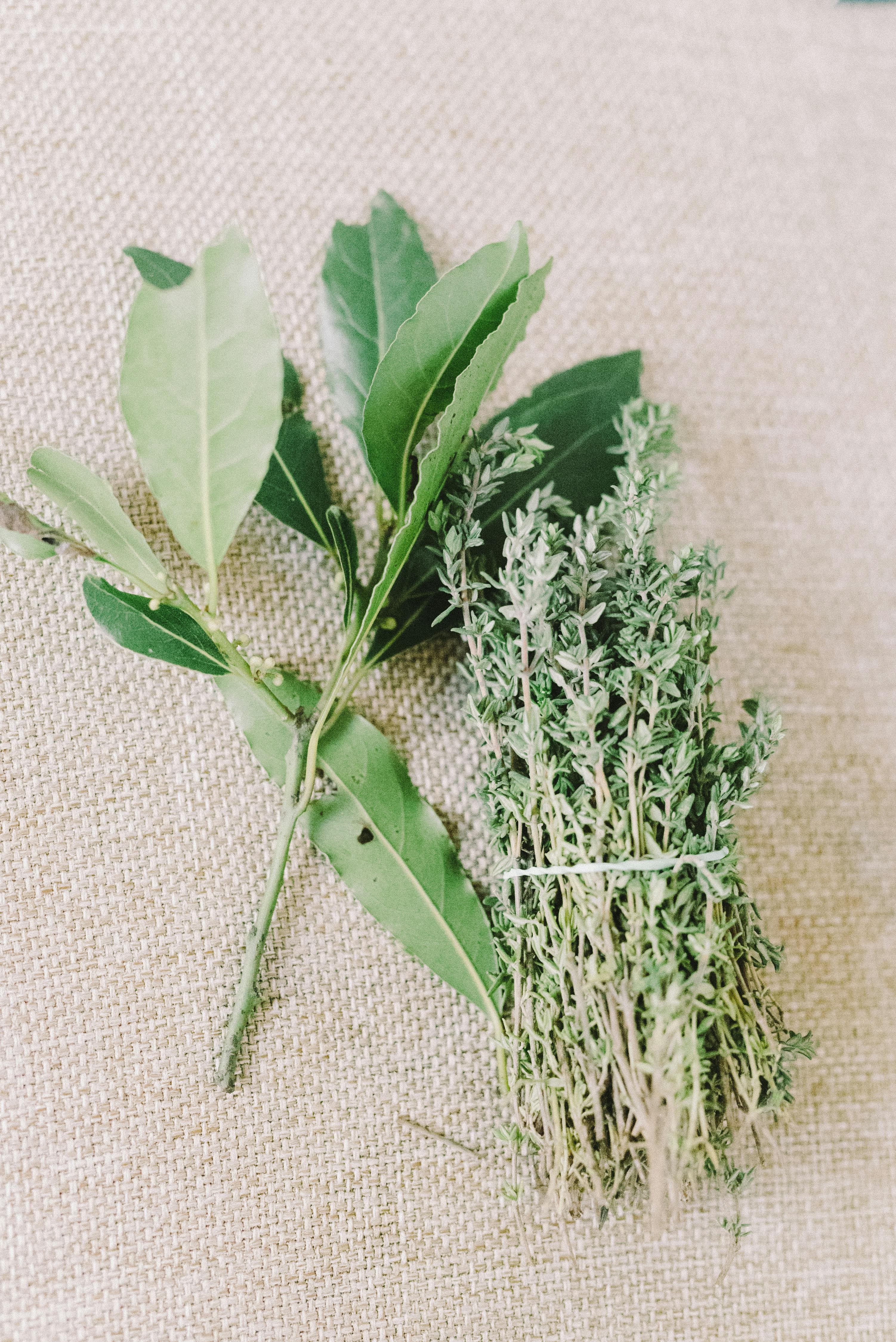 Indian Cooking Herbs: Fresh and Dried Herb Guide