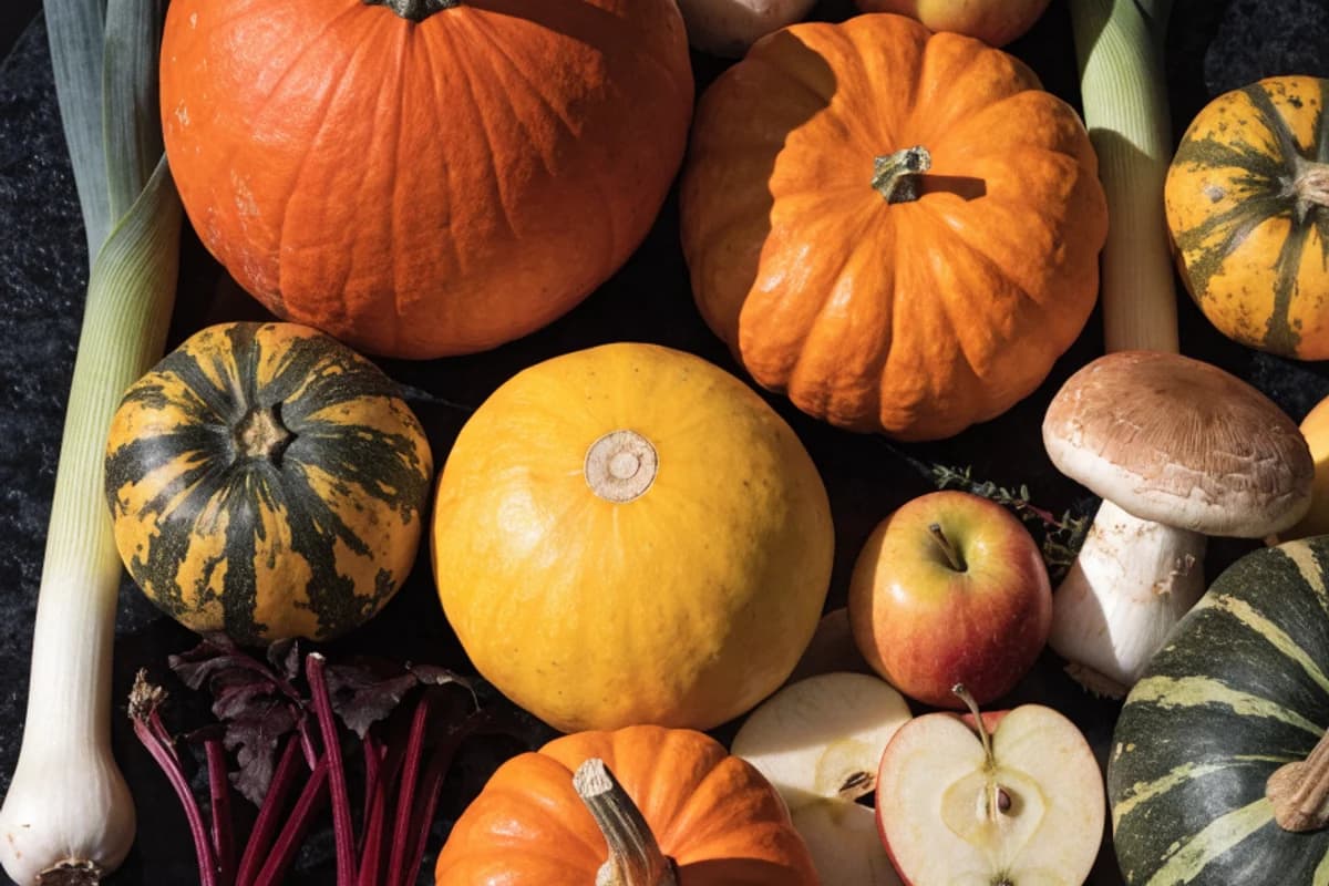 Autumn harvest