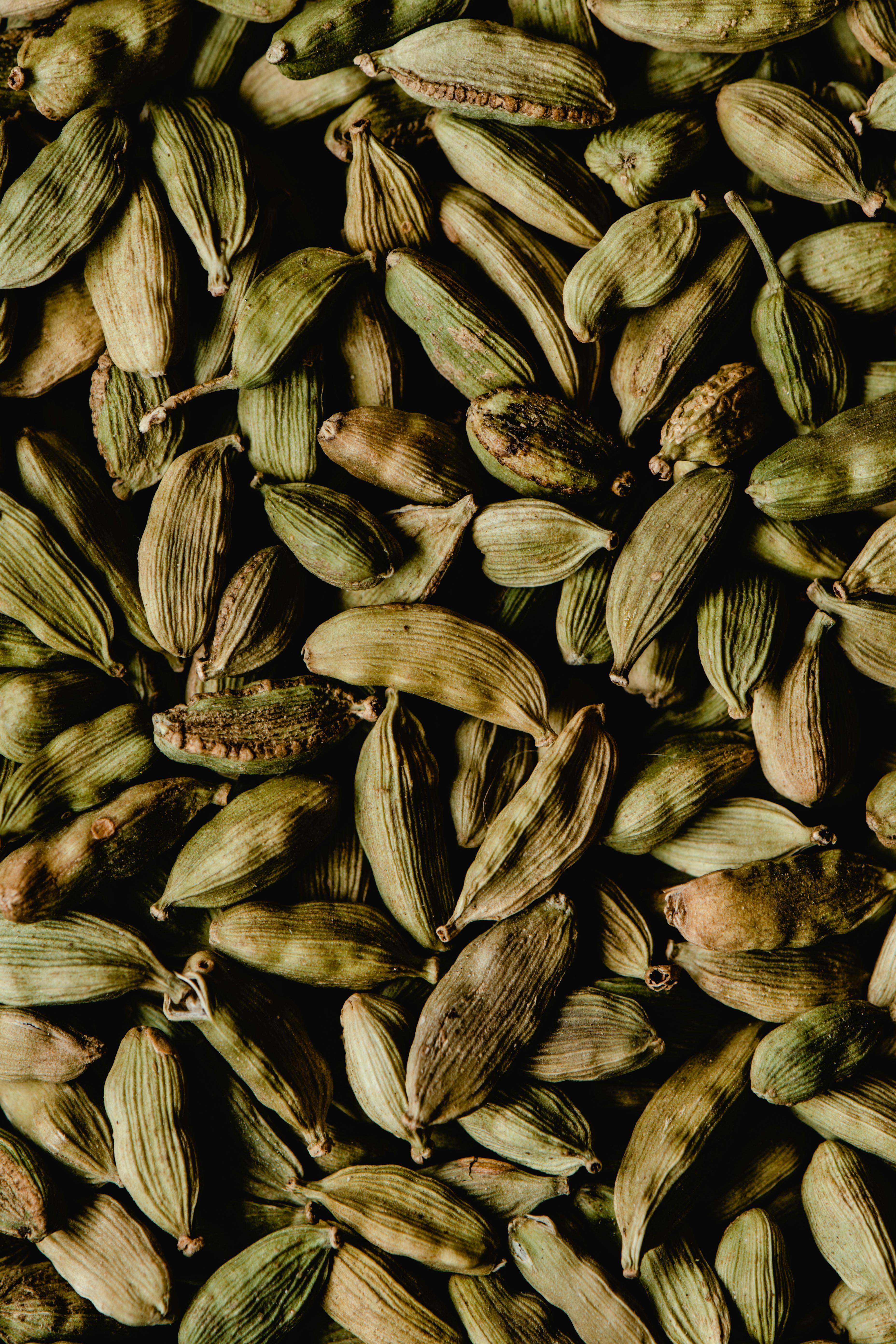 Green cardamom pods used in Indian cooking